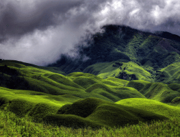 Nagaland